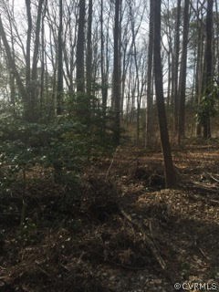 0 Milbank Road Henrico, VA 23229 - Photo 14 of 14 Gallery Image 14