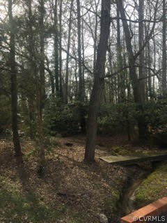 0 Milbank Road Henrico, VA 23229 - Photo 3 of 14 Gallery Image 3