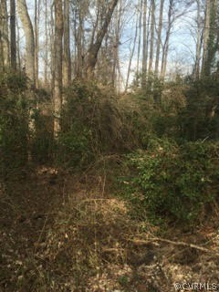 0 Milbank Road Henrico, VA 23229 - Photo 4 of 14 Gallery Image 4