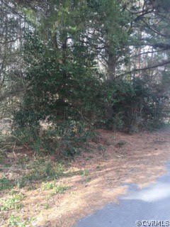 0 Milbank Road Henrico, VA 23229 - Photo 8 of 14 Gallery Image 8