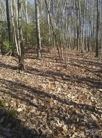 a view of outdoor space with trees