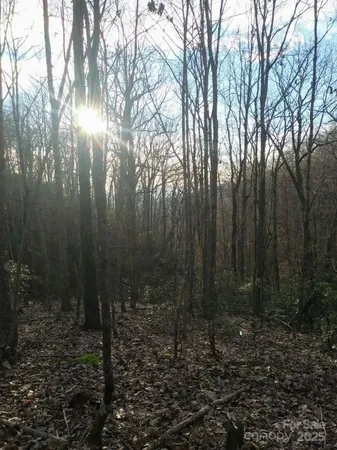 a view of residential house with trees