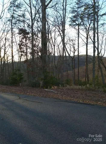 a view of a road with a trees in the background