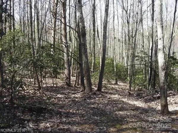 a view of outdoor space with lots of trees