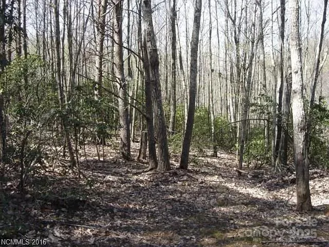 a view of outdoor space with lots of trees