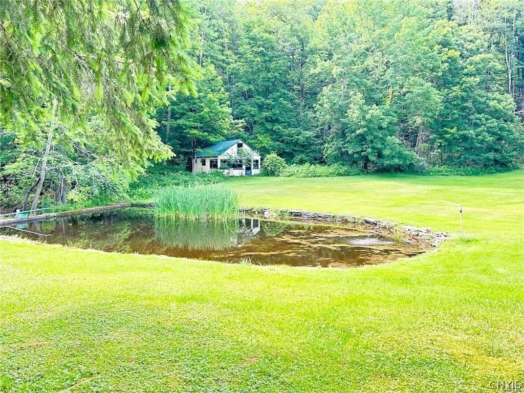 185 Dairy Hill Road Salisbury, NY 13365 - Photo 7 of 50