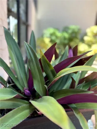 a view of a small yard