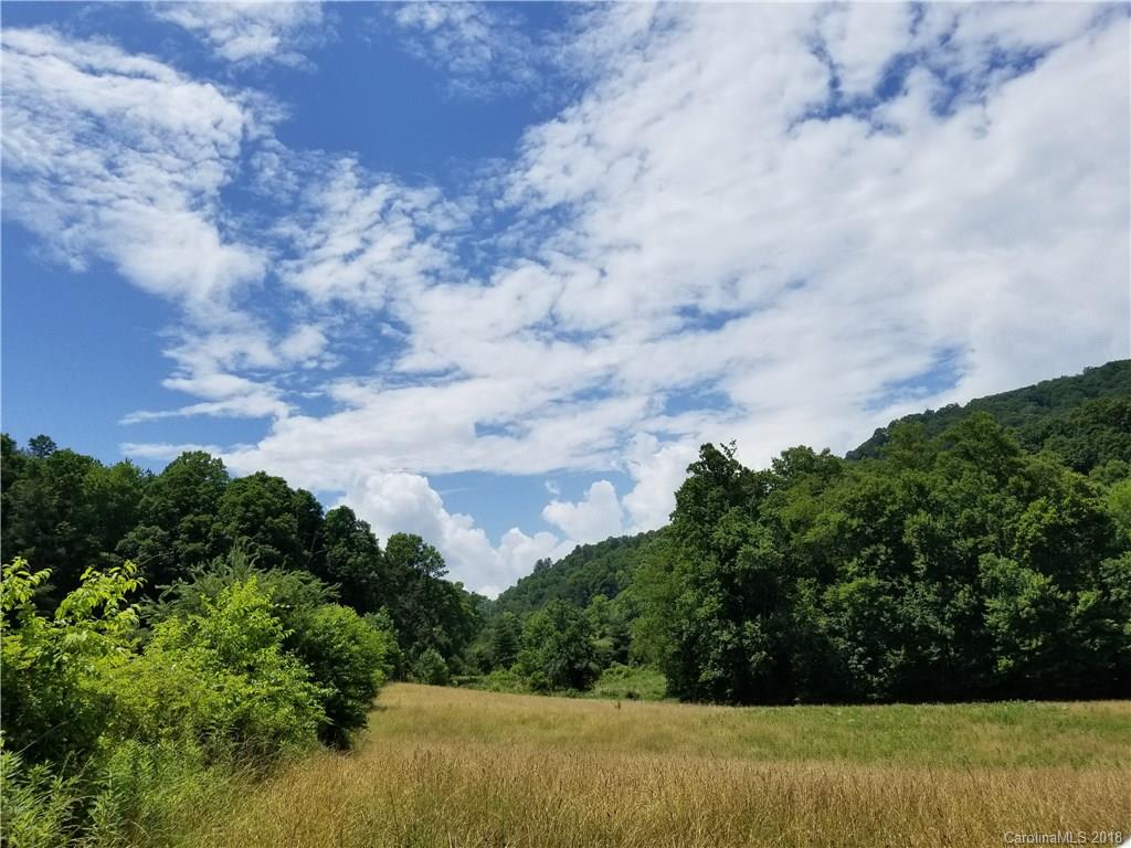 12.9-acres Off Rabbit Skin Road, Unit TRACT 1A Waynesville, NC 28785 - Photo 1 of 16 Gallery Image 1