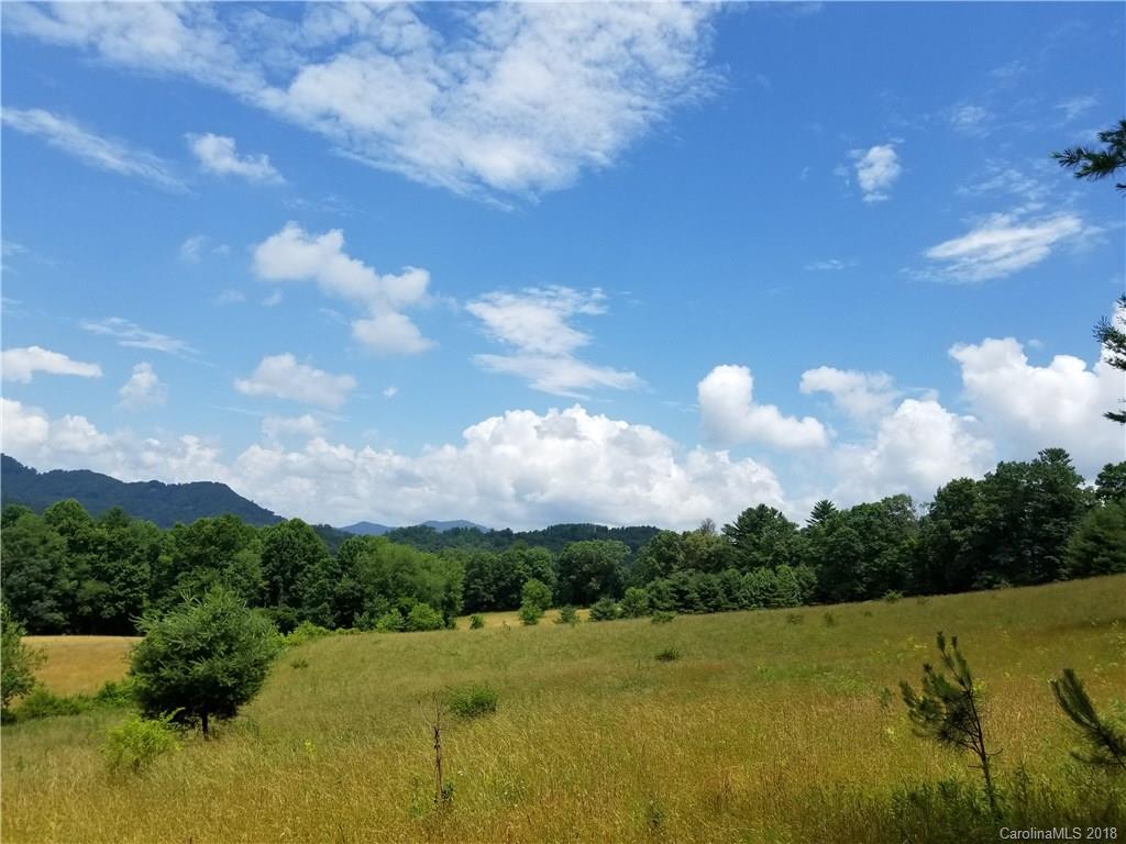 12.9-acres Off Rabbit Skin Road, Unit TRACT 1A Waynesville, NC 28785 - Photo 2 of 16 Gallery Image 2