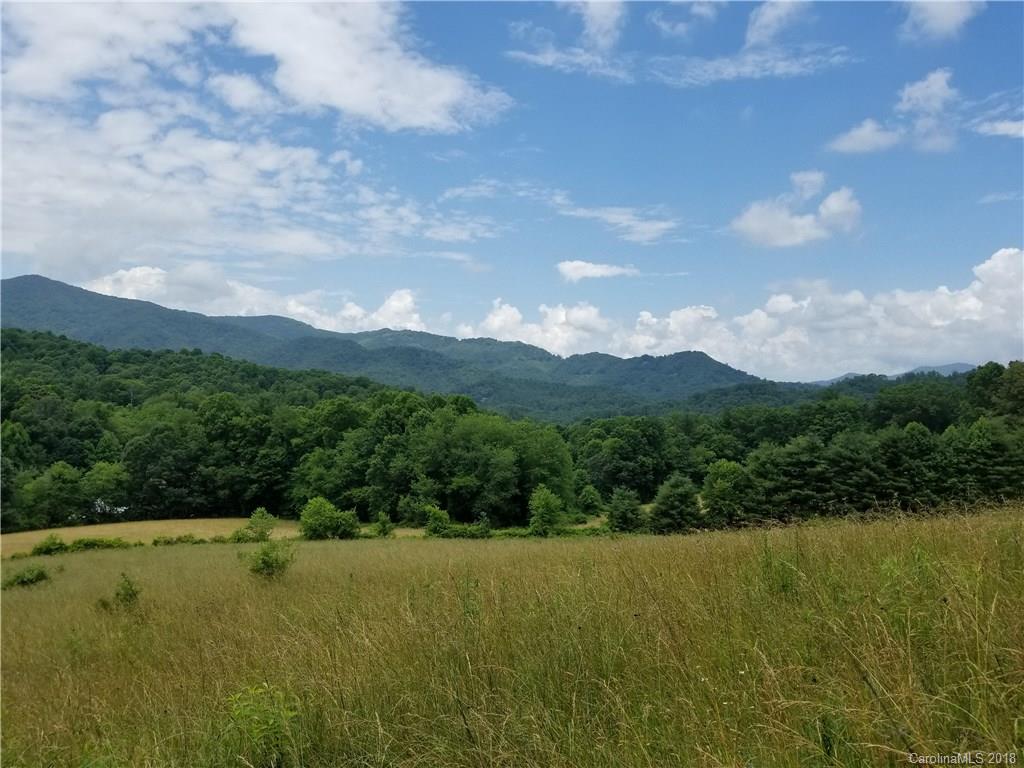 12.9-acres Off Rabbit Skin Road, Unit TRACT 1A Waynesville, NC 28785 - Photo 11 of 16 Gallery Image 11