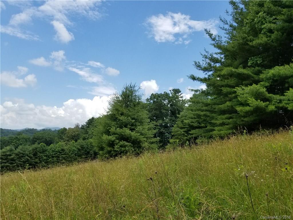 12.9-acres Off Rabbit Skin Road, Unit TRACT 1A Waynesville, NC 28785 - Photo 12 of 16 Gallery Image 12