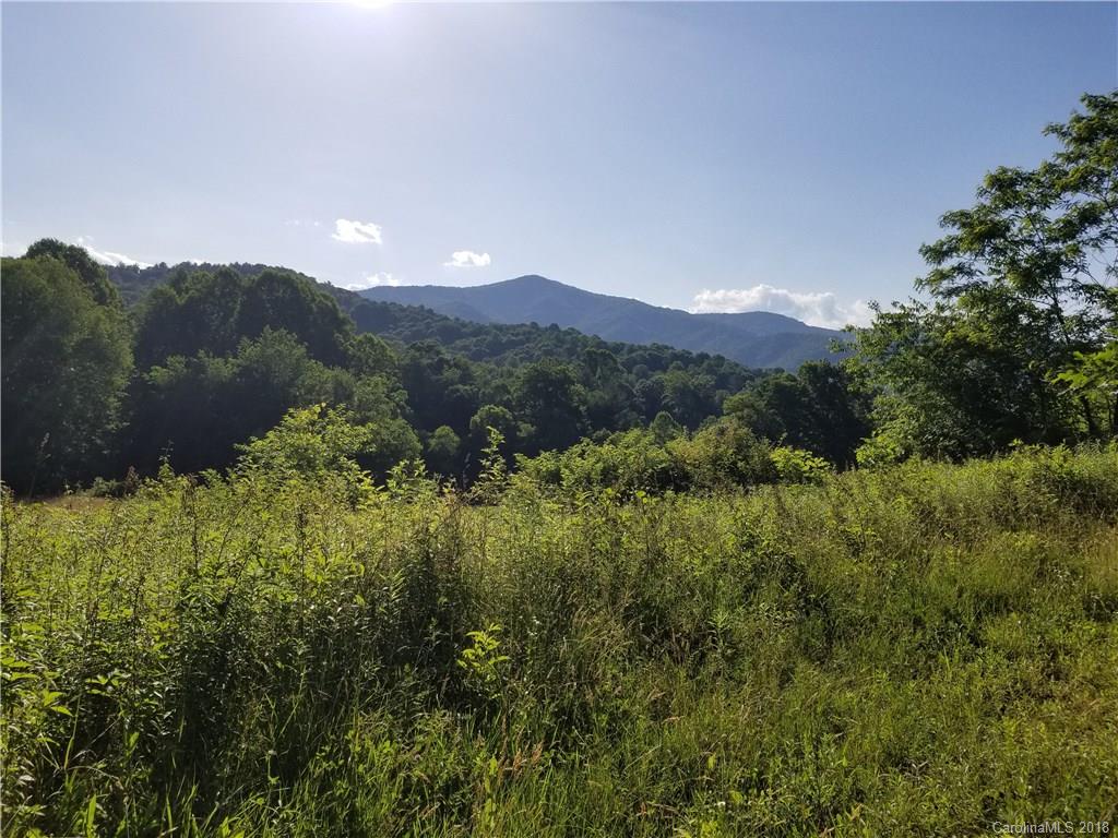 12.9-acres Off Rabbit Skin Road, Unit TRACT 1A Waynesville, NC 28785 - Photo 3 of 16 Gallery Image 3