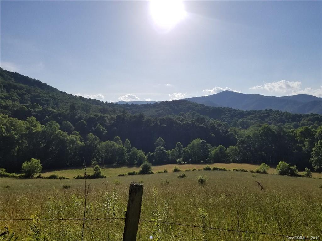 12.9-acres Off Rabbit Skin Road, Unit TRACT 1A Waynesville, NC 28785 - Photo 6 of 16 Gallery Image 6