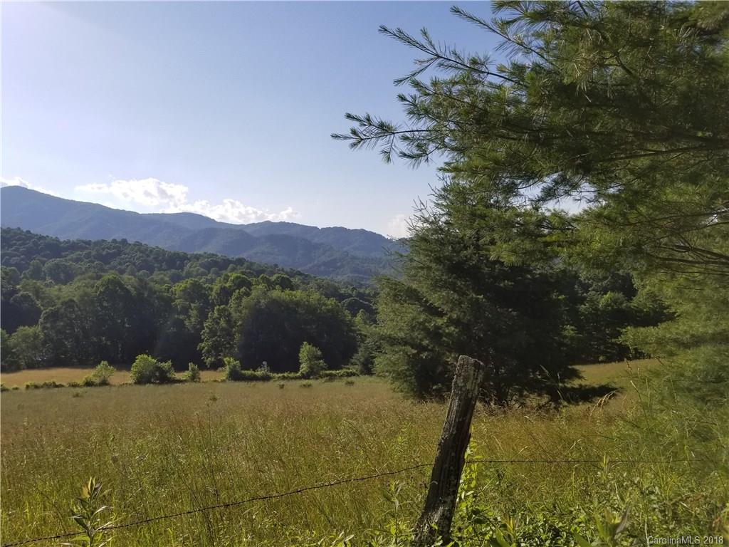 12.9-acres Off Rabbit Skin Road, Unit TRACT 1A Waynesville, NC 28785 - Photo 7 of 16 Gallery Image 7
