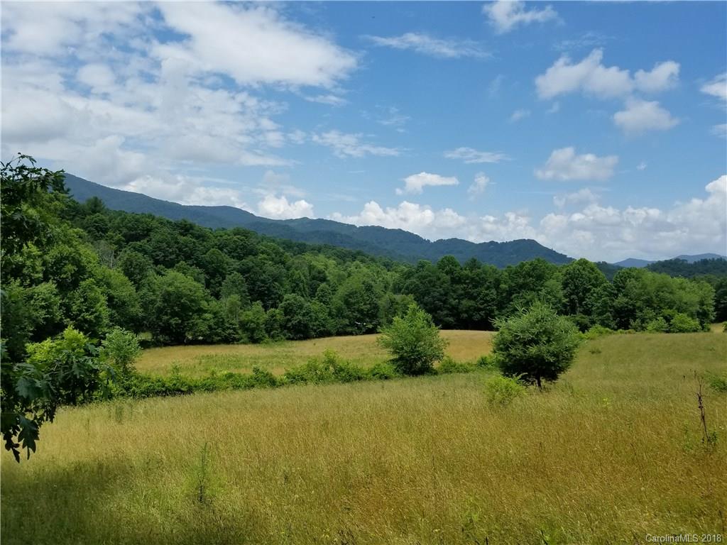 12.9-acres Off Rabbit Skin Road, Unit TRACT 1A Waynesville, NC 28785 - Photo 8 of 16 Gallery Image 8