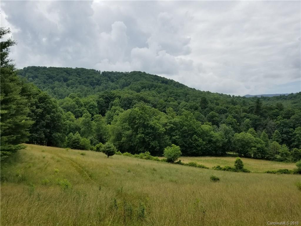 12.9-acres Off Rabbit Skin Road, Unit TRACT 1A Waynesville, NC 28785 - Photo 9 of 16 Gallery Image 9