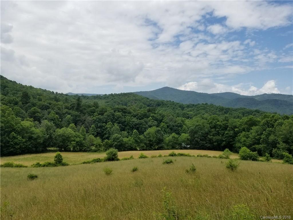 12.9-acres Off Rabbit Skin Road, Unit TRACT 1A Waynesville, NC 28785 - Photo 10 of 16 Gallery Image 10