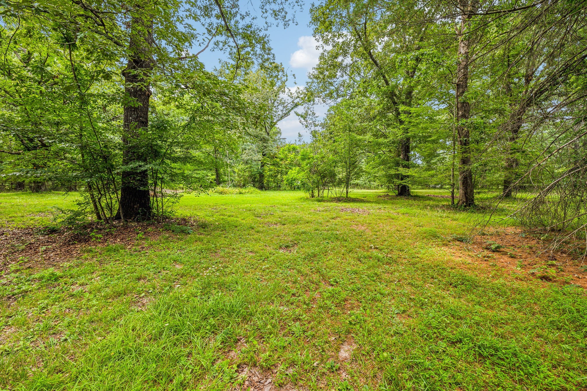 364 Cook Road Tullahoma, TN 37388 - Photo 16 of 69 Gallery Image 16