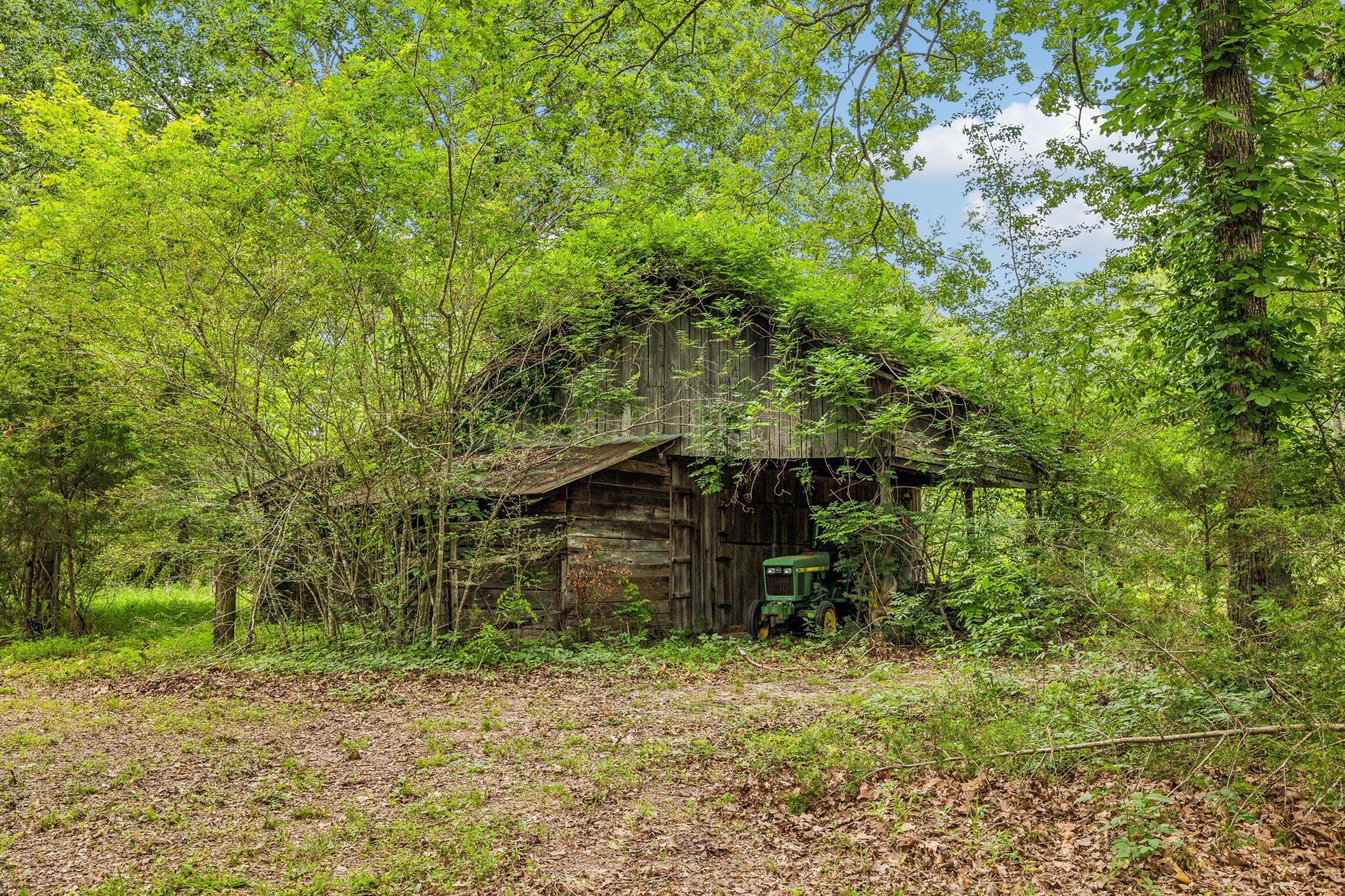 364 Cook Road Tullahoma, TN 37388 - Photo 20 of 69 Gallery Image 20