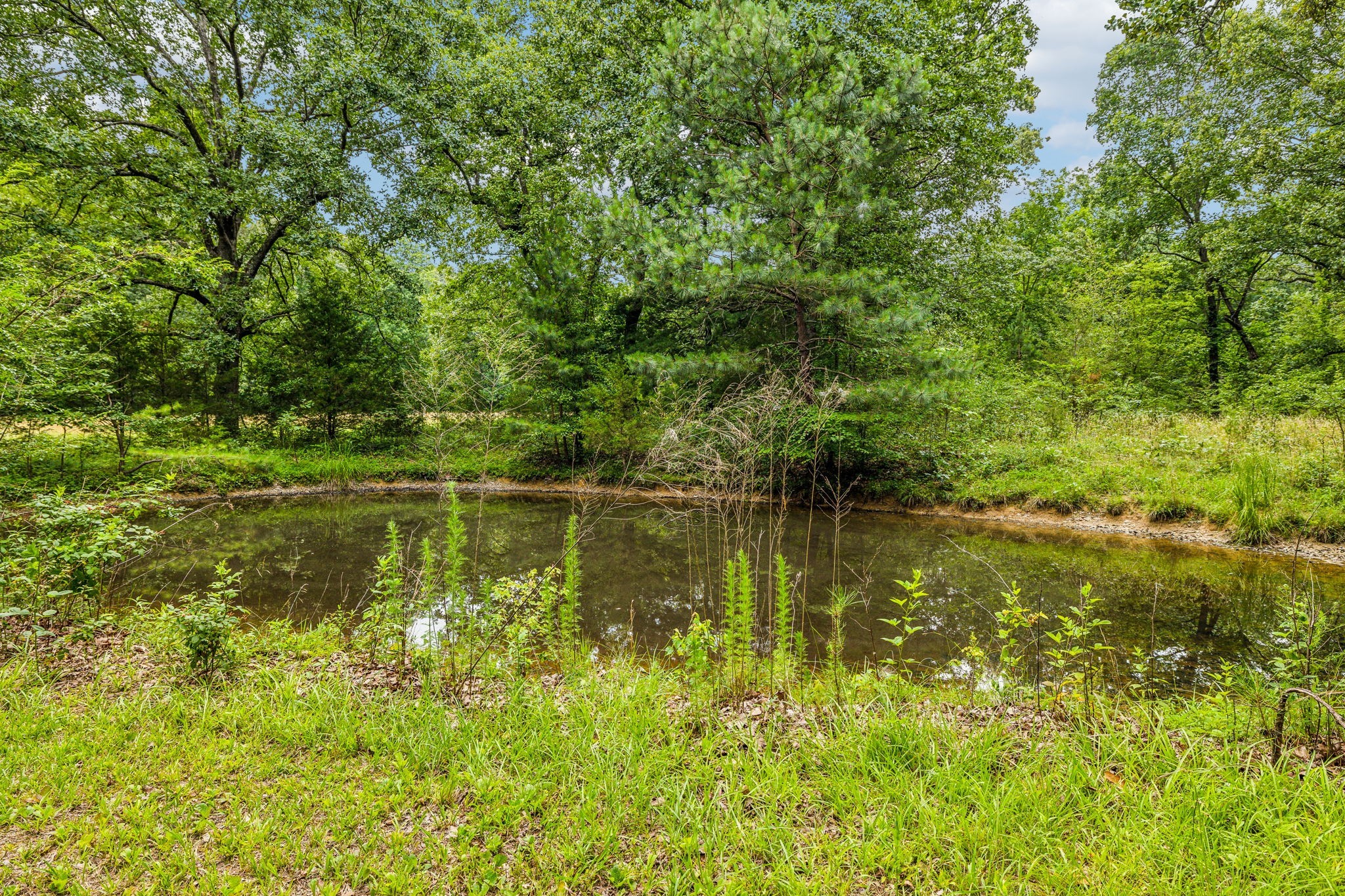 364 Cook Road Tullahoma, TN 37388 - Photo 21 of 69 Gallery Image 21