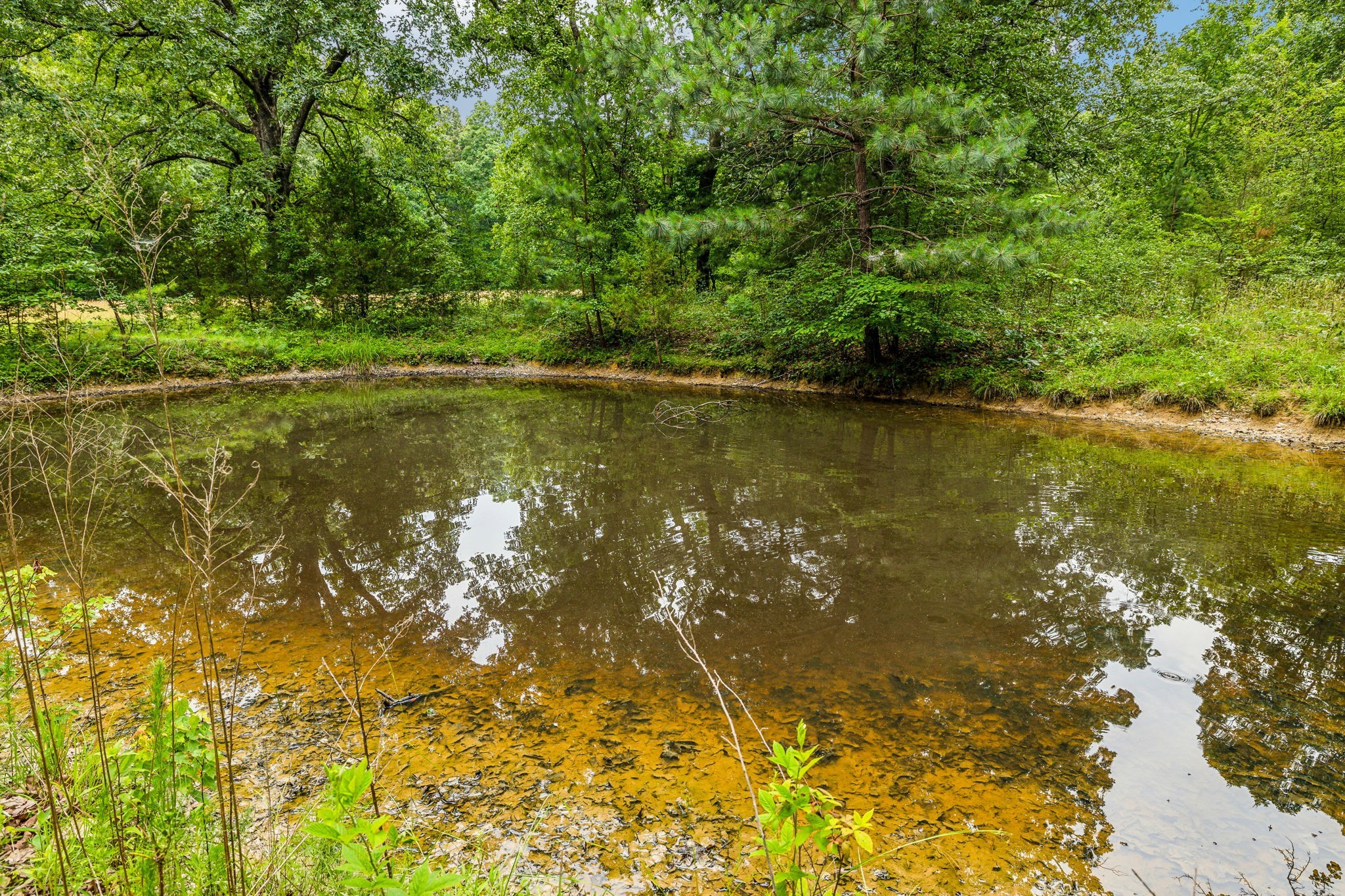 364 Cook Road Tullahoma, TN 37388 - Photo 22 of 69 Gallery Image 22