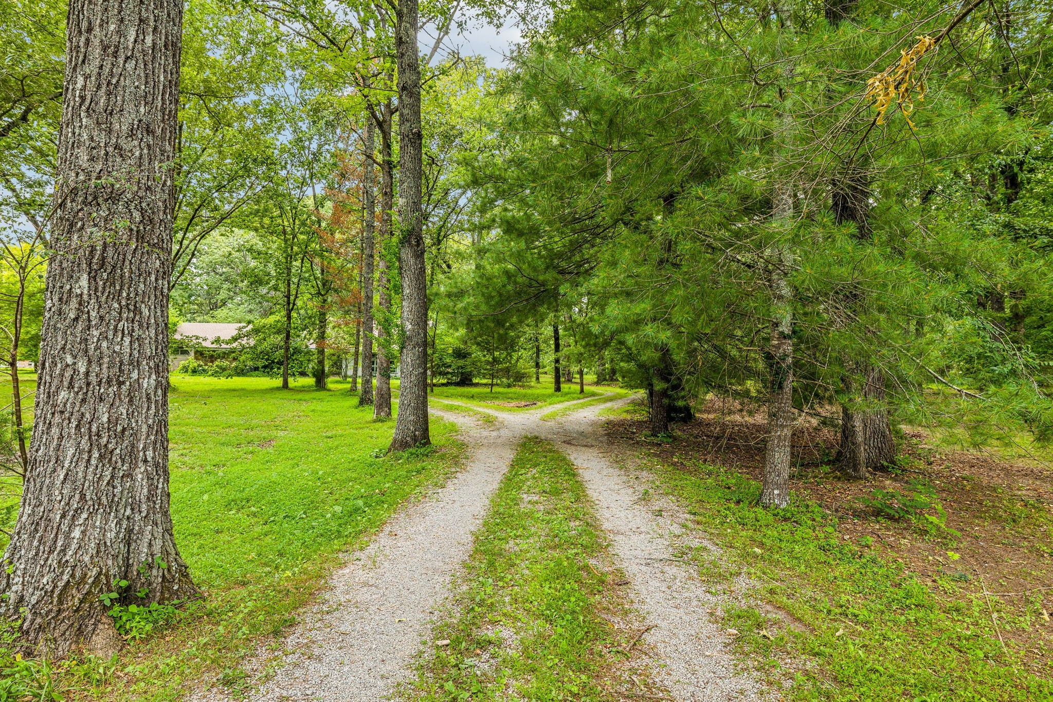 364 Cook Road Tullahoma, TN 37388 - Photo 4 of 69 Gallery Image 4