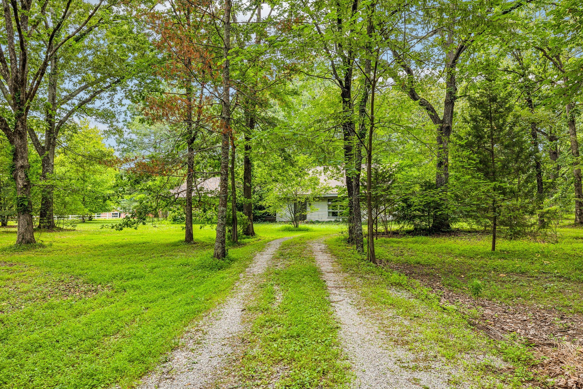 364 Cook Road Tullahoma, TN 37388 - Photo 5 of 69 Gallery Image 5