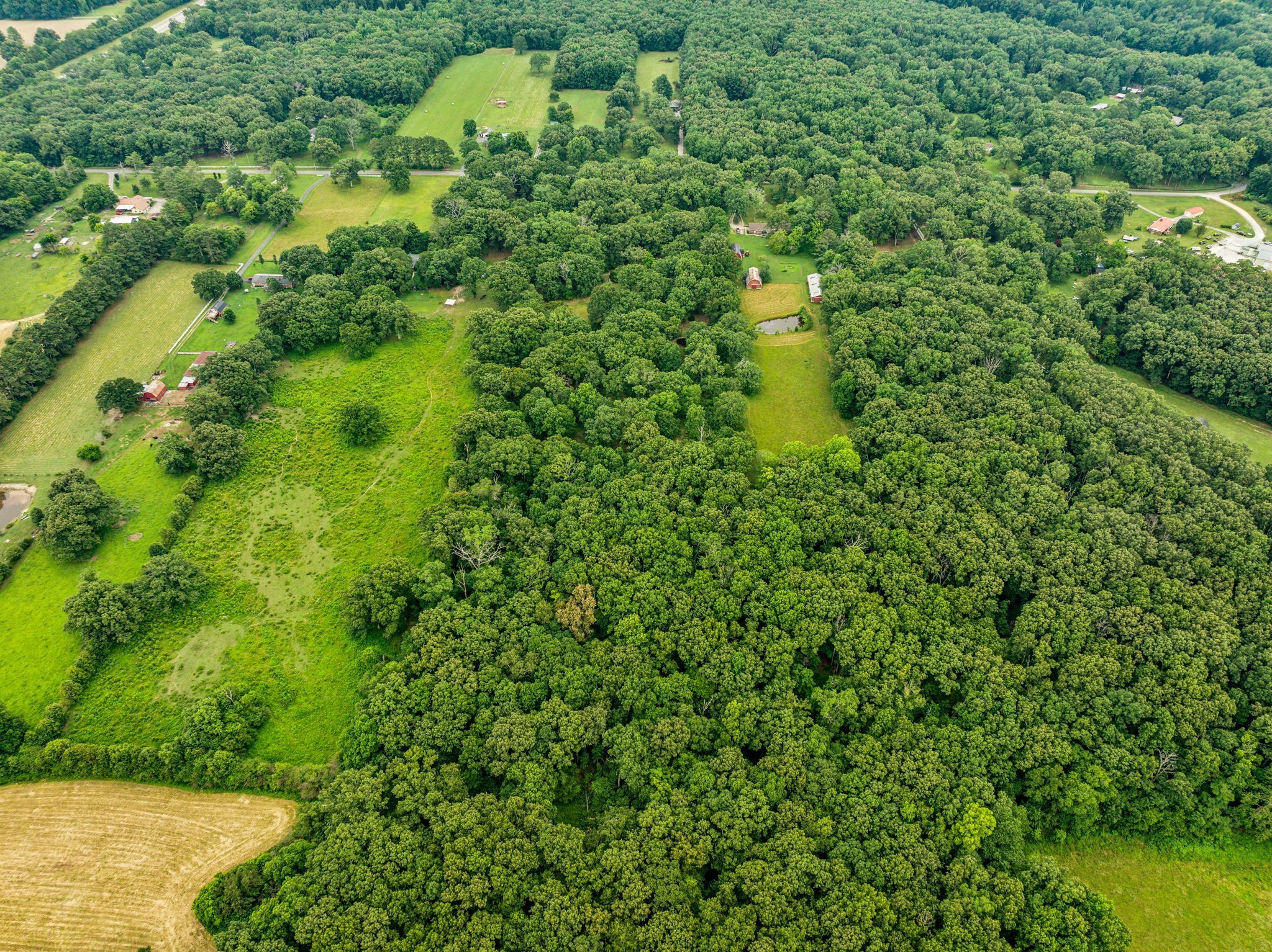 364 Cook Road Tullahoma, TN 37388 - Photo 61 of 69 Gallery Image 61