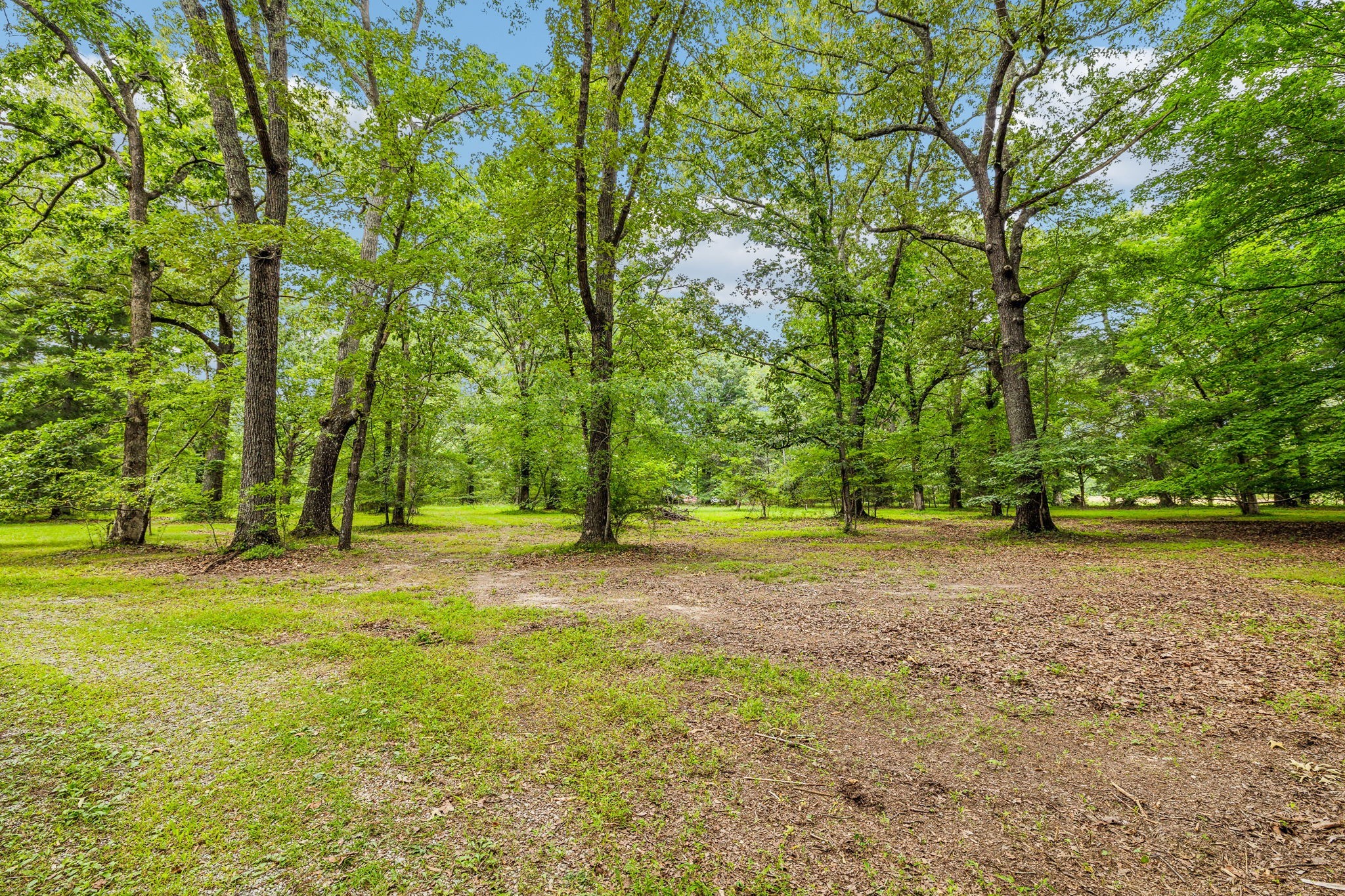 364 Cook Road Tullahoma, TN 37388 - Photo 9 of 69 Gallery Image 9