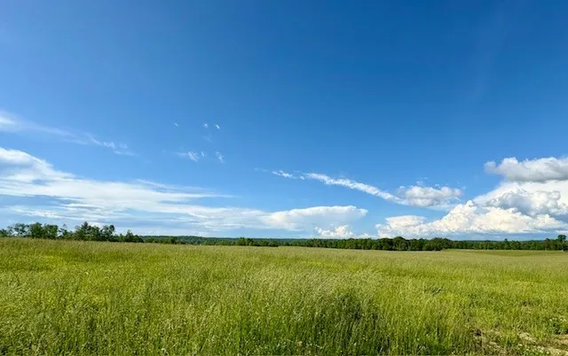 $2,263,470 | 0 Topsy Road, Waynesboro, TN 38485