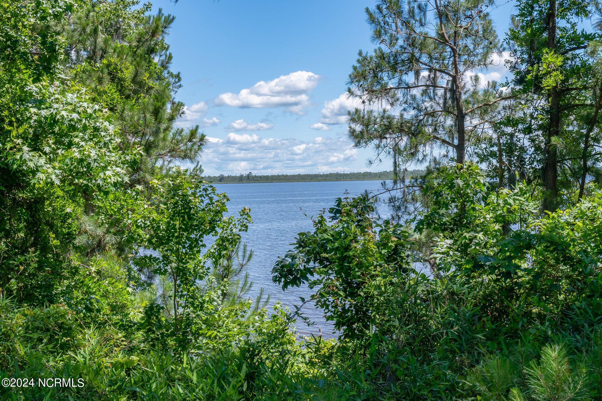 1306 Green Springs Road New Bern, NC 28560 - Photo 4 of 5 mls_1306 Green Springs-4