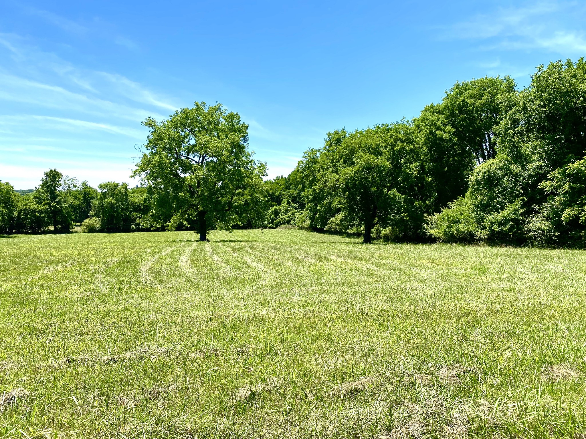 1102 Robinson Road Old Hickory, TN 37138 - Photo 11 of 36 a big yard with lots of green space