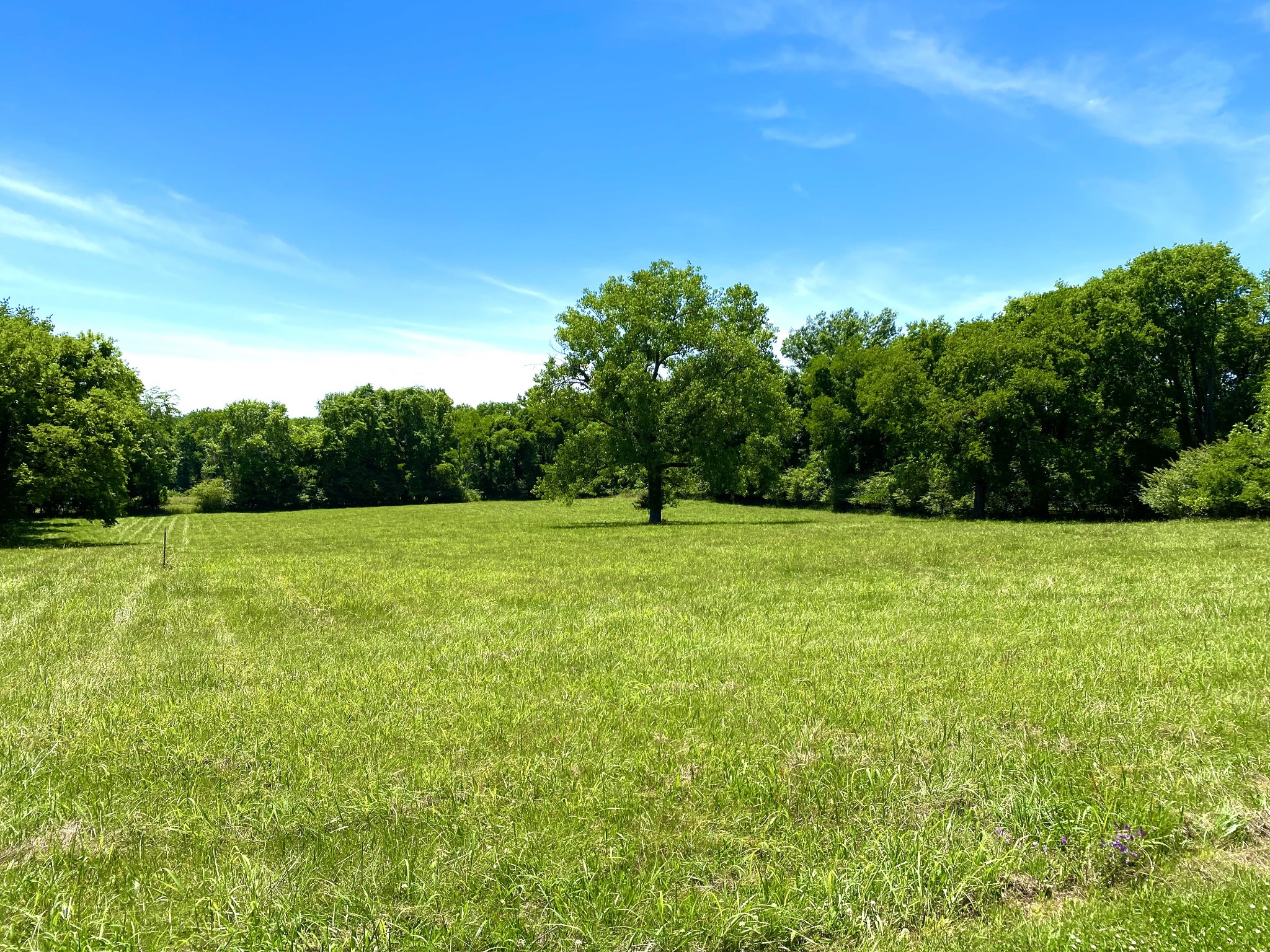 1102 Robinson Road Old Hickory, TN 37138 - Photo 13 of 36 a view of outdoor space with deck and yard