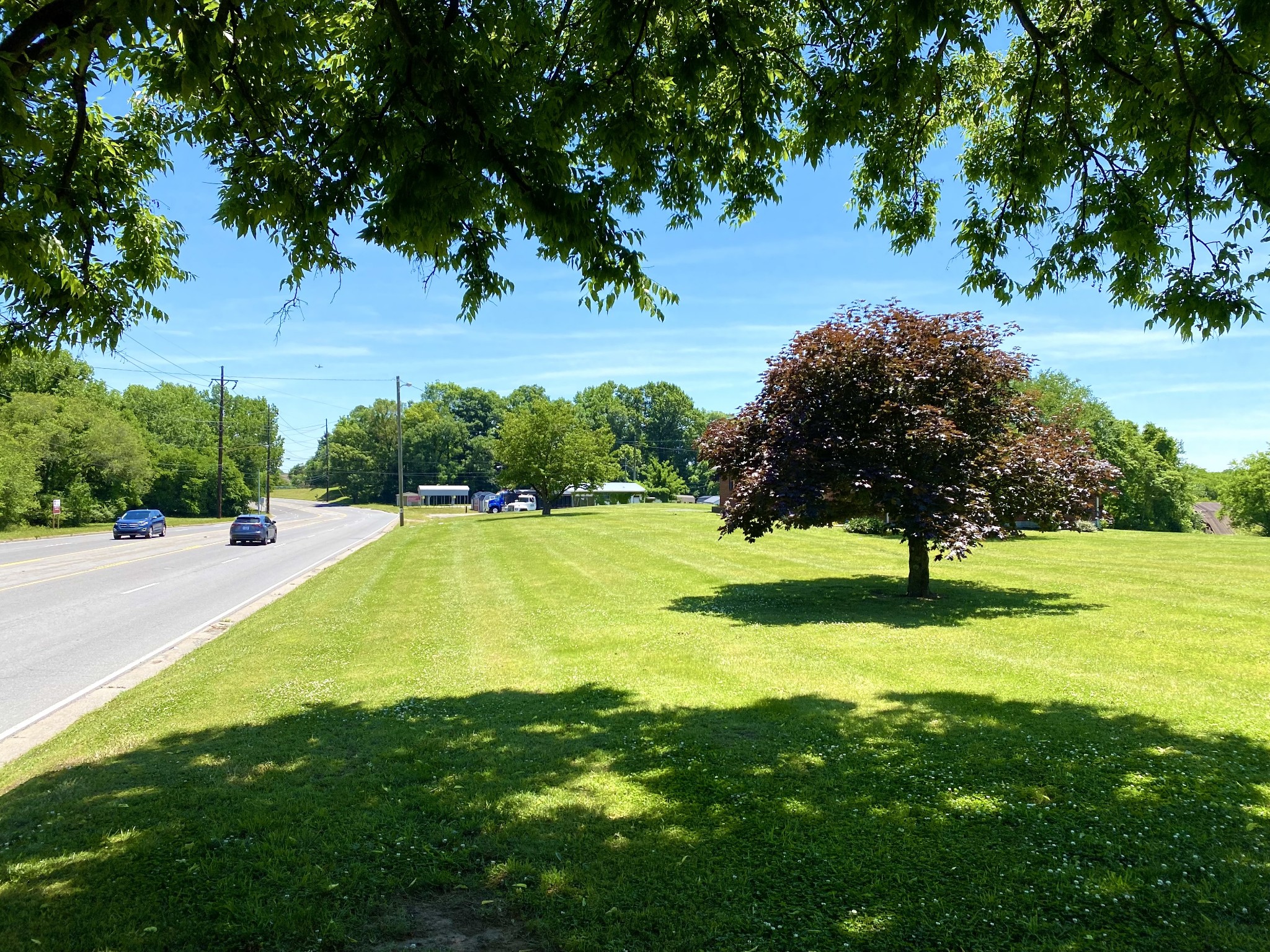 1102 Robinson Road Old Hickory, TN 37138 - Photo 14 of 36 a view of yard with swimming pool and green space