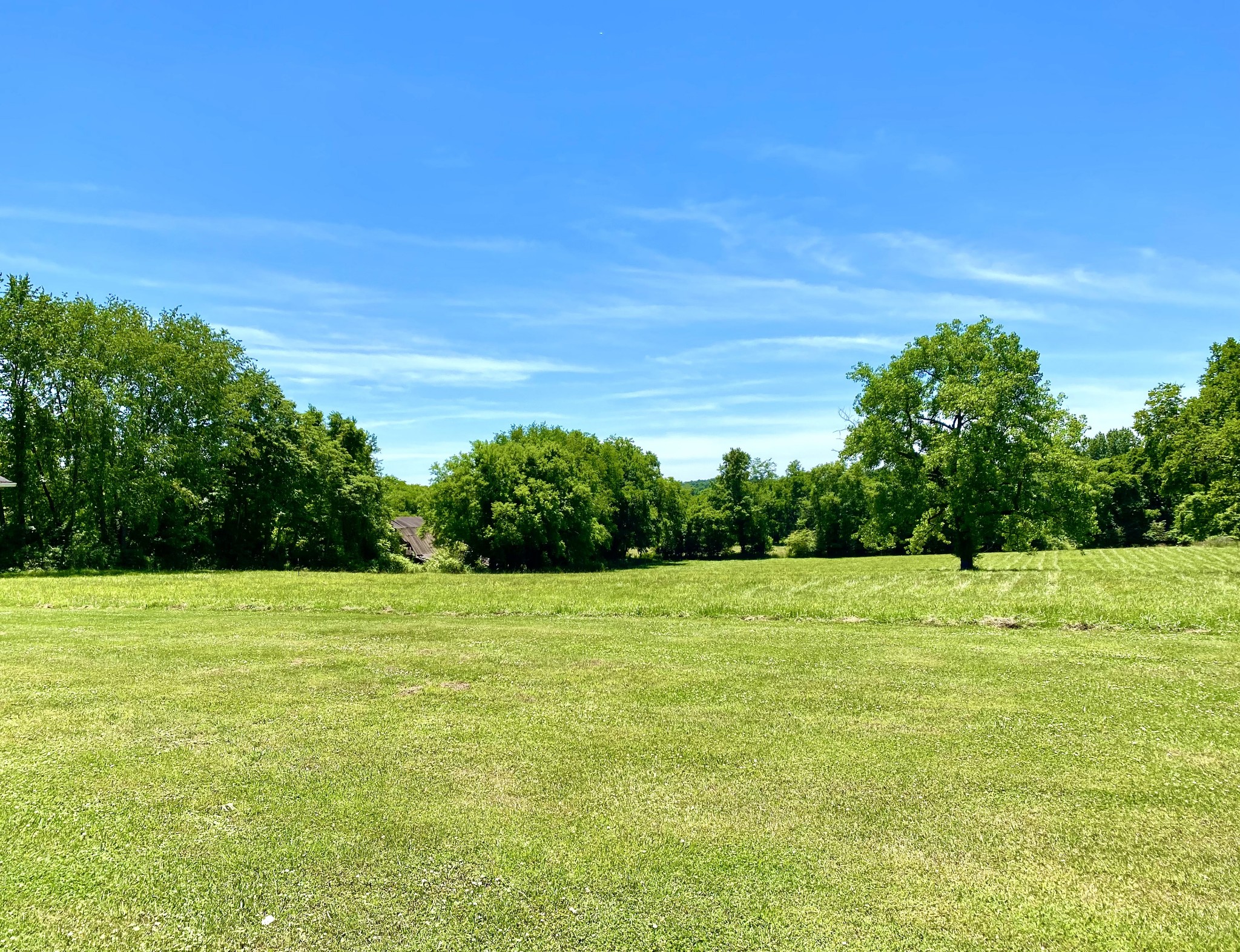 1102 Robinson Road Old Hickory, TN 37138 - Photo 8 of 36 a view of a field with an trees in the background