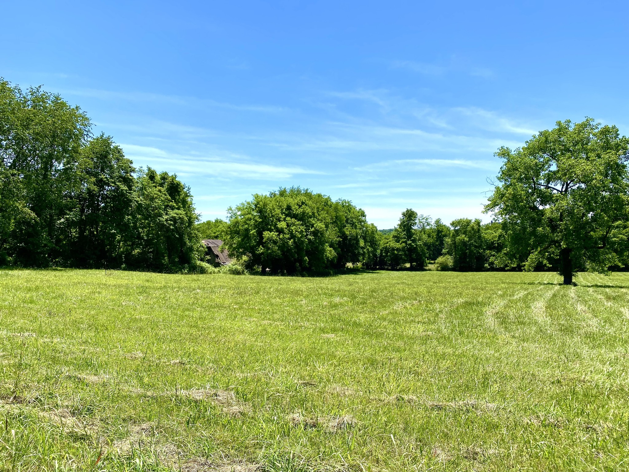1102 Robinson Road Old Hickory, TN 37138 - Photo 10 of 36 a view of field with tall trees