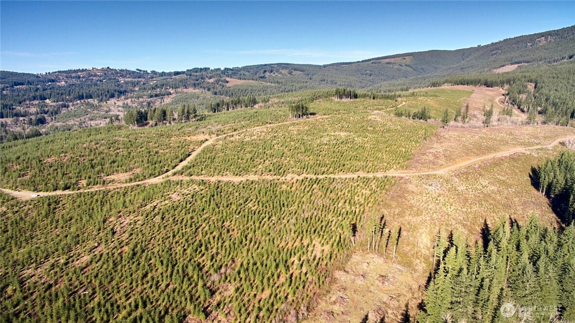 4 Northeast Jones Creek Road Camas, WA 98607 - Photo 6 of 29 a view of an ocean and a mountain
