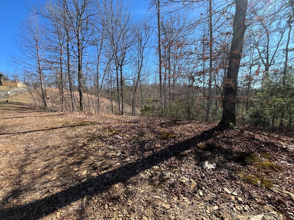 17 Fish Hawk Ridge Murphy, NC 28906 - Photo 4 of 6