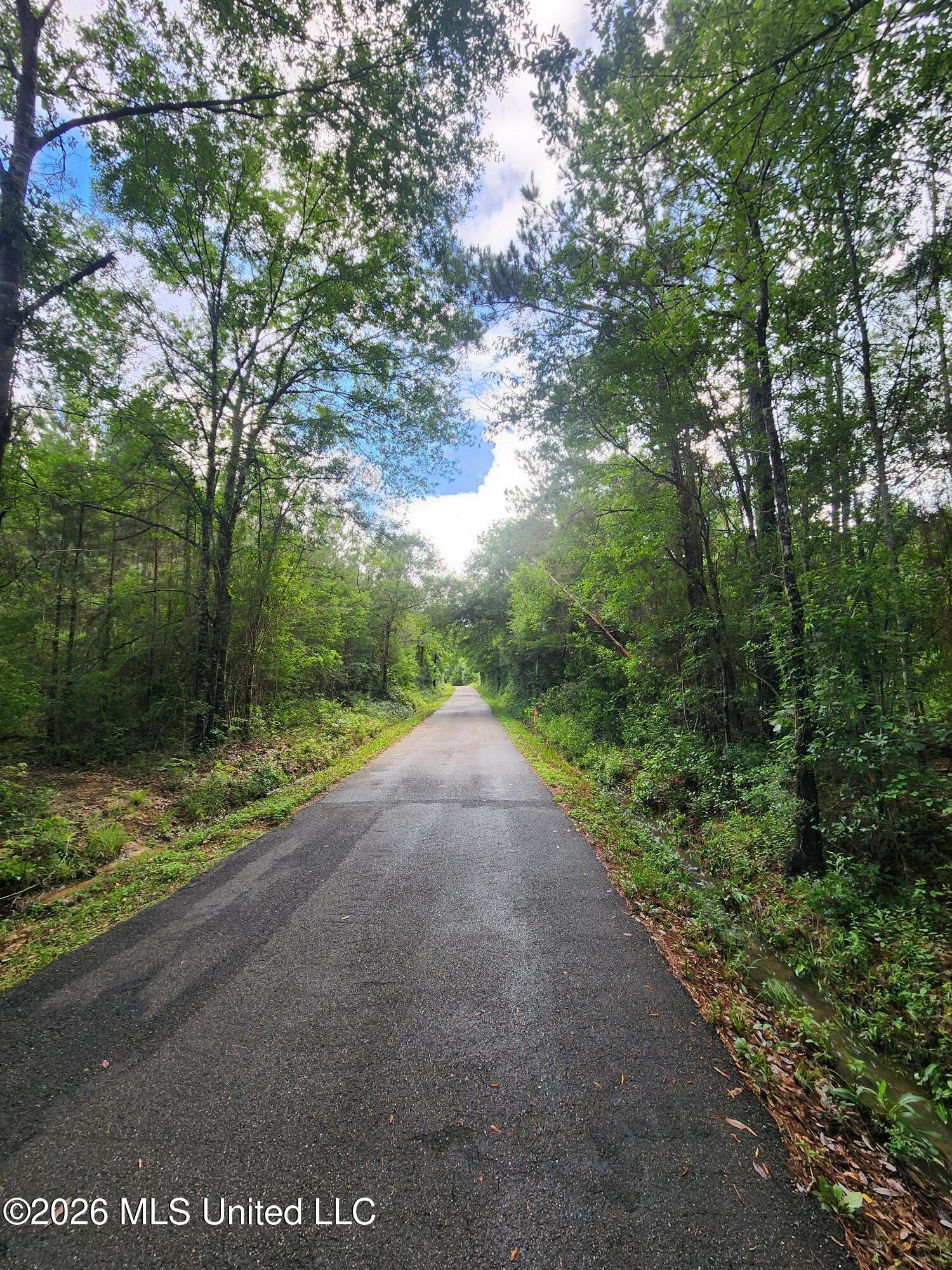 1-acre Charlie Daughdrill Road Carriere, MS 39426 - Photo 4 of 4 20260528_180340