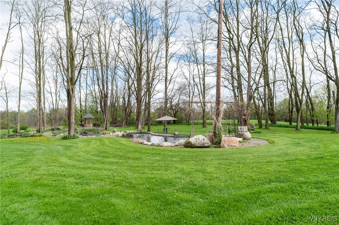 10132 Brookville Road Alexander, NY 14005 - Photo 18 of 50