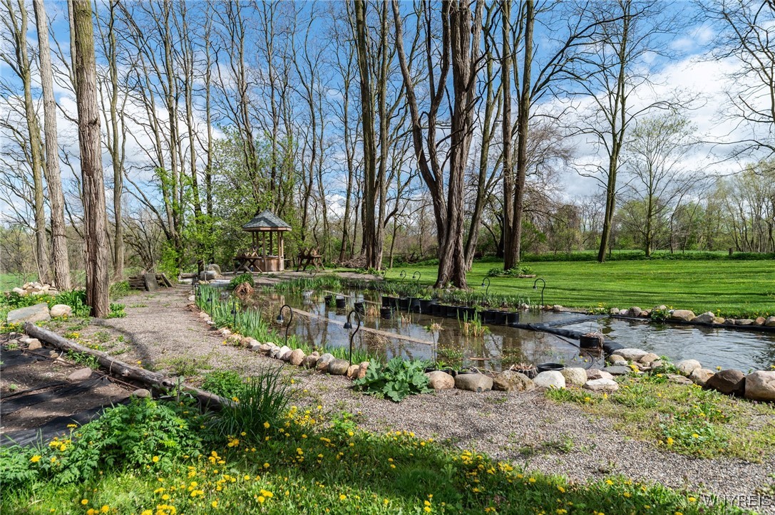 10132 Brookville Road Alexander, NY 14005 - Photo 22 of 50