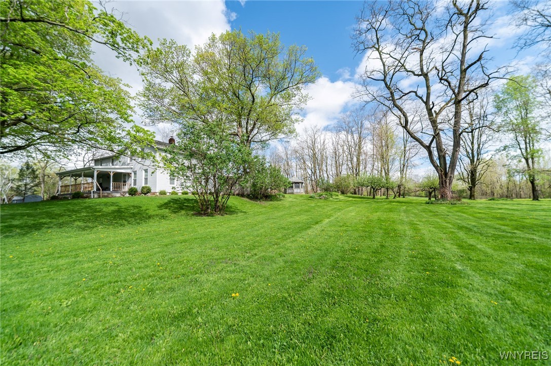 10132 Brookville Road Alexander, NY 14005 - Photo 50 of 50