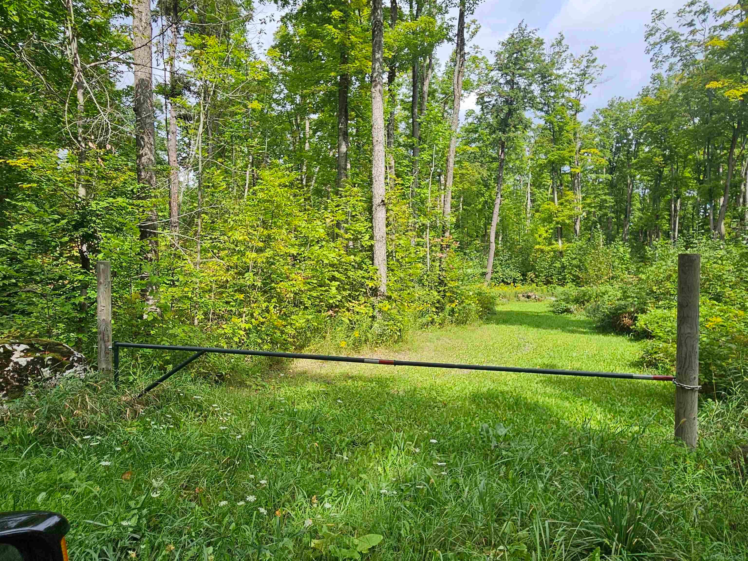 6950 West Ritchie Road Curran, MI 48728 - Photo 22 of 43 Gallery Image 22