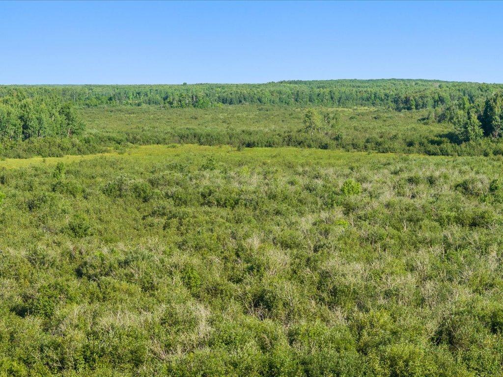 Tbd Meadowview Road Pierz, MN 56364 - Photo 16 of 30 Gallery Image 16