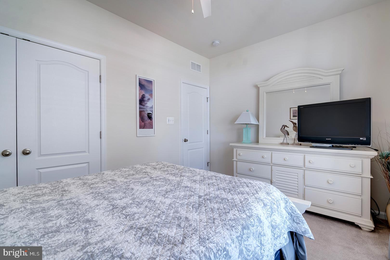 34438 Spring Brook Avenue Lewes, DE 19958 - Photo 24 of 58 a bedroom with a bed and a flat screen tv