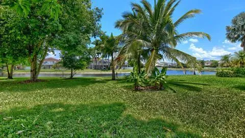 a view of a park with tree s