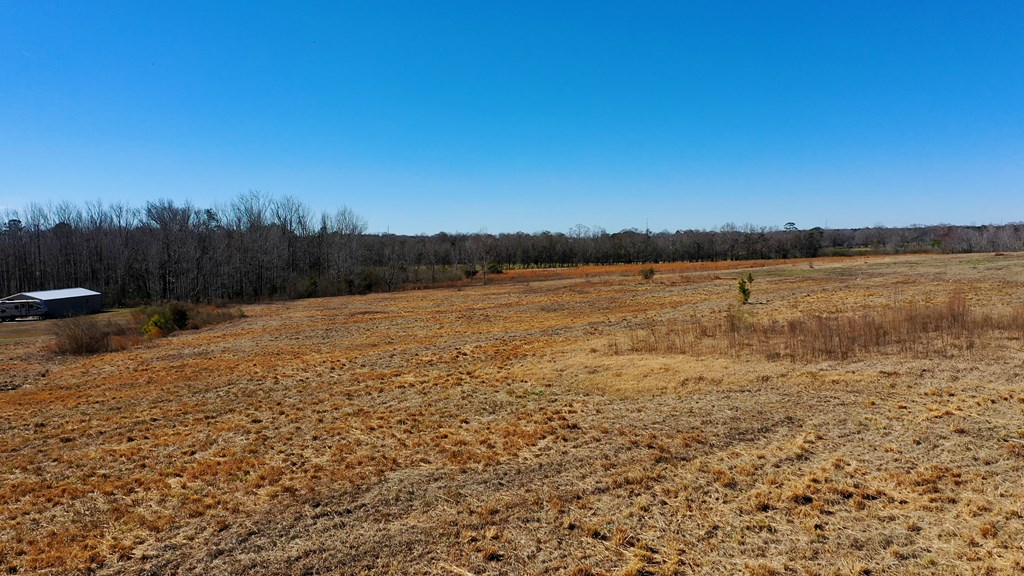 1132 Grant Road Slocomb, AL 36375 - Photo 10 of 14