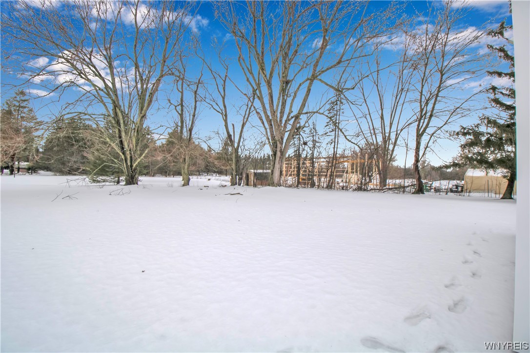 2600 Baseline Road Grand Island, NY 14072 - Photo 38 of 46