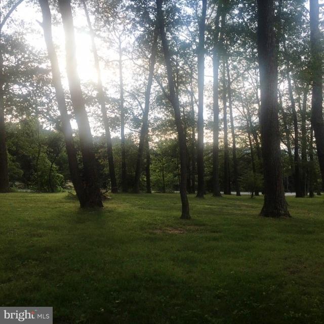 2224 Dennings Road New Windsor, MD 21776 - Photo 20 of 20 Wooded Rear Lot View