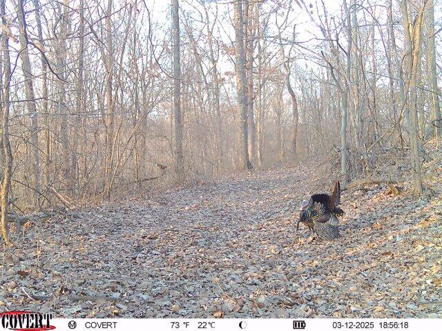 0 Stoneburner Road Northwest Crooksville, OH 43731 - Photo 21 of 26 image11